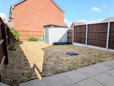 Picture 12